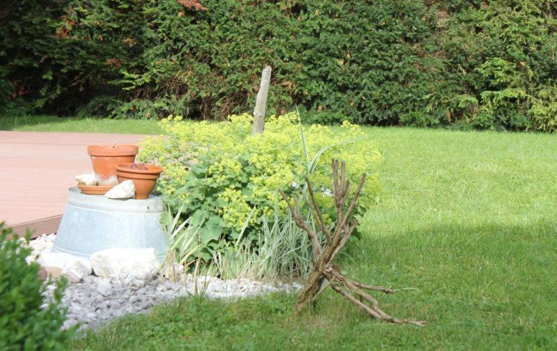 Ferienwohnung Wuehn تآيسيندورف المظهر الخارجي الصورة